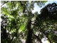 Barrington NSW 2422