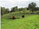 Barrington NSW 2422