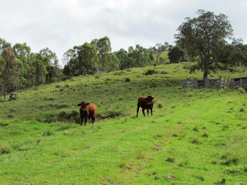 Barrington NSW 2422