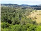 Barrington NSW 2422