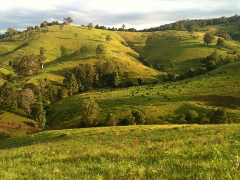 Gloucester NSW 2422