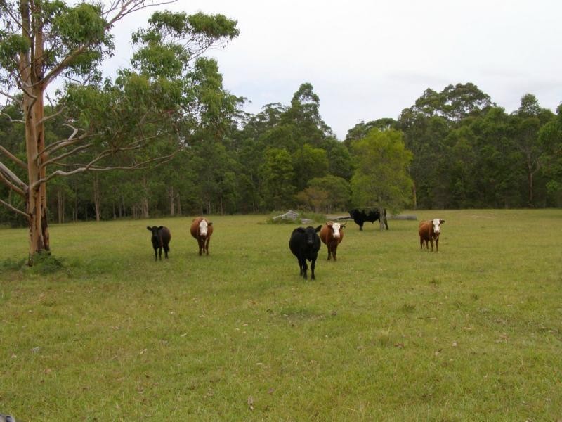 Girvan NSW 2425