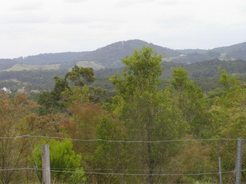 Girvan NSW 2425