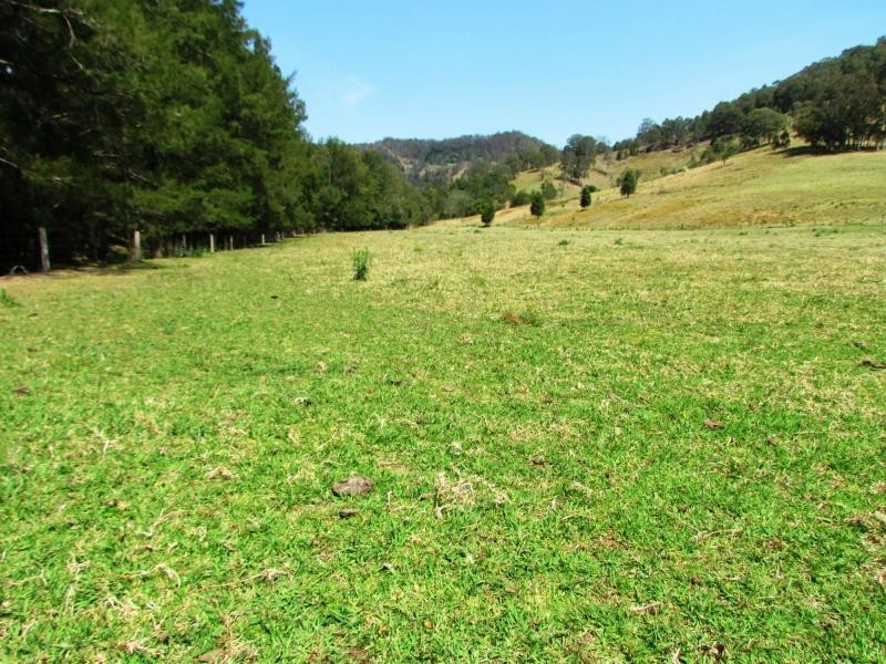 274 Craven Creek Road, Gloucester NSW 2422