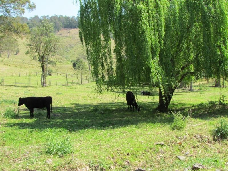 274 Craven Creek Road, Gloucester NSW 2422