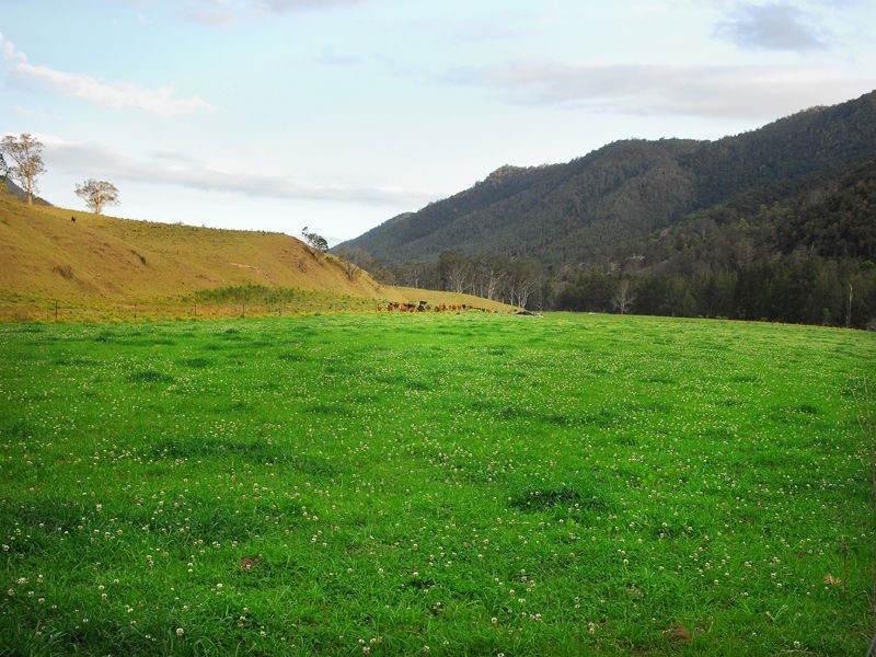 Gloucester NSW 2422