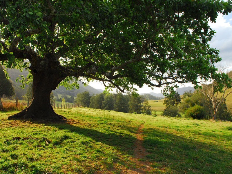 Gloucester NSW 2422
