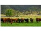 Gloucester NSW 2422