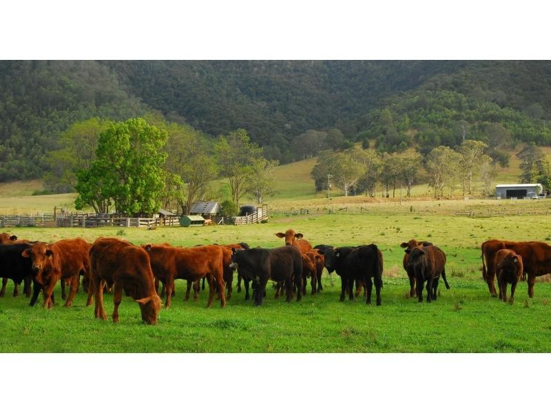 Gloucester NSW 2422