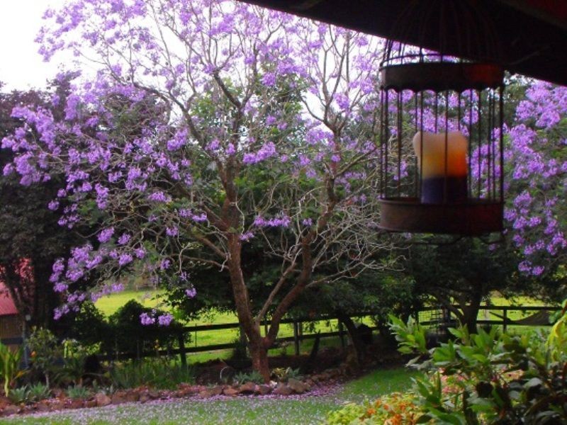 Stroud Road NSW 2415