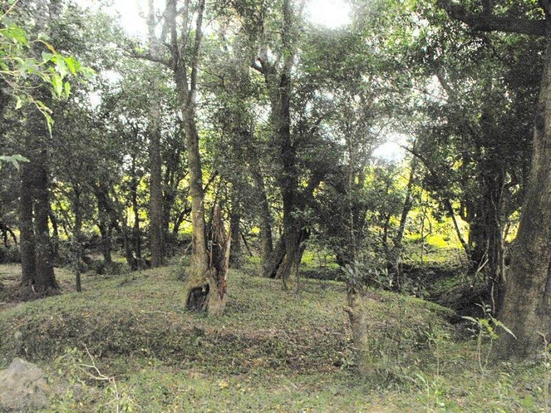 Stroud Road NSW 2415