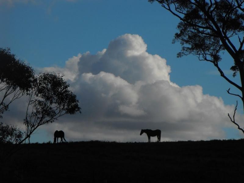 Stroud Road NSW 2415