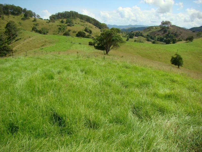Gloucester NSW 2422