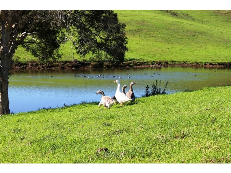 Gloucester NSW 2422