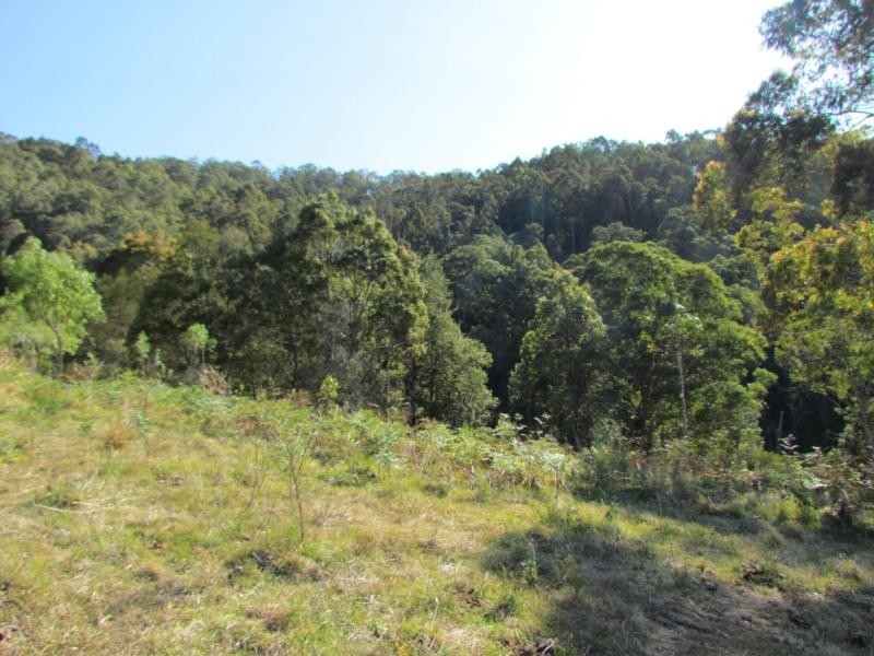 Gloucester NSW 2422