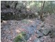 Gloucester NSW 2422