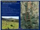 Gloucester NSW 2422