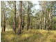 Craven Plateau NSW 2422