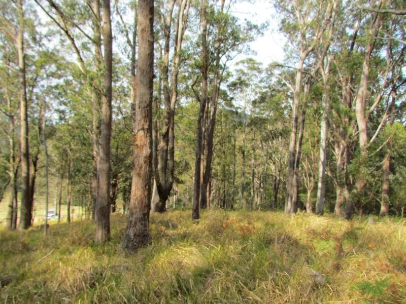 Craven Plateau NSW 2422