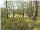 Craven Plateau NSW 2422