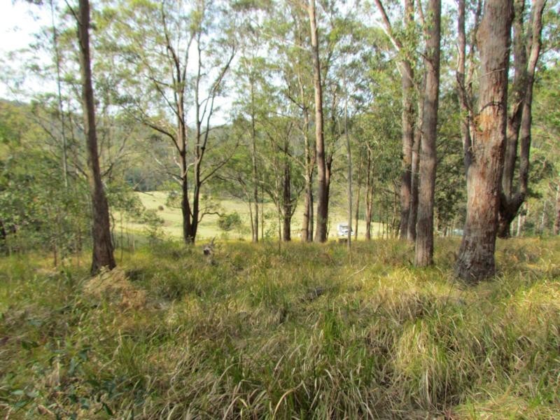 Craven Plateau NSW 2422