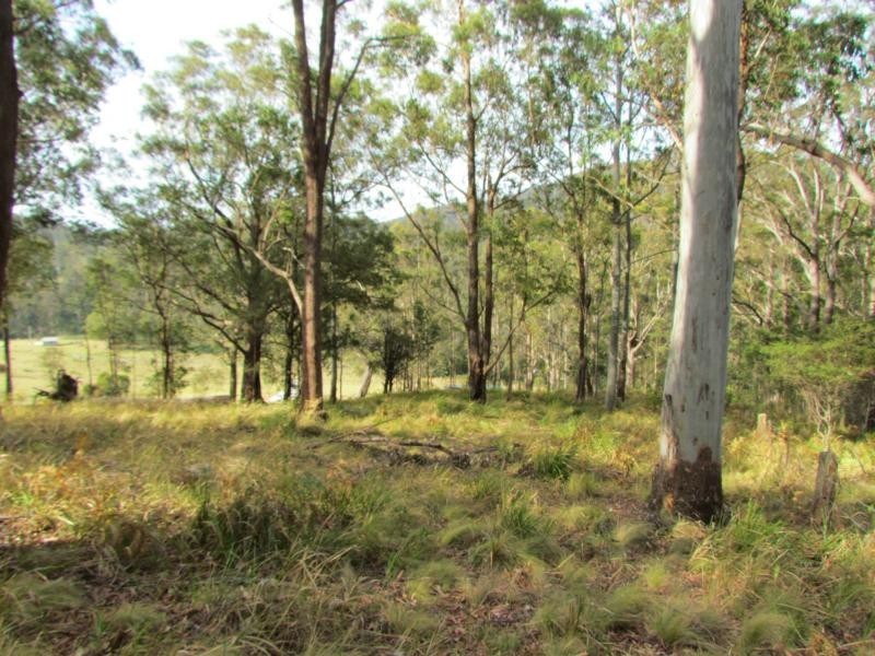 Craven Plateau NSW 2422