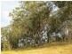 Craven Plateau NSW 2422