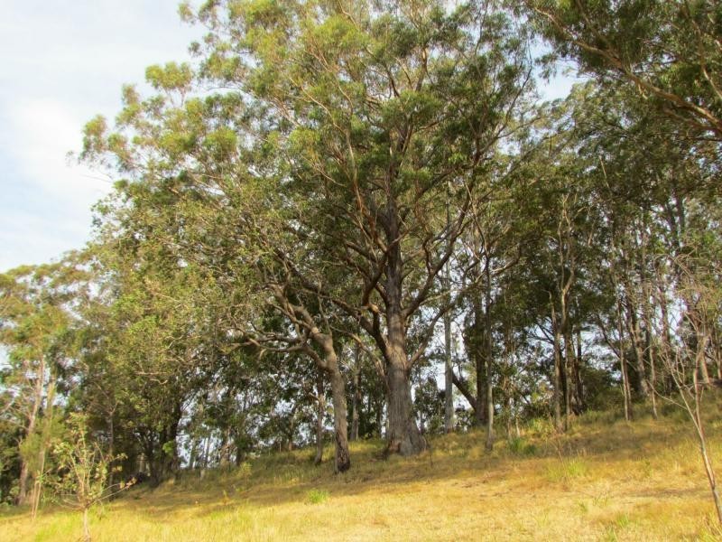 Craven Plateau NSW 2422