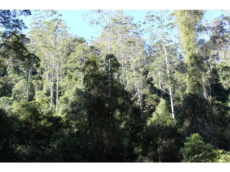 Gloucester NSW 2422