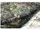 Gloucester NSW 2422