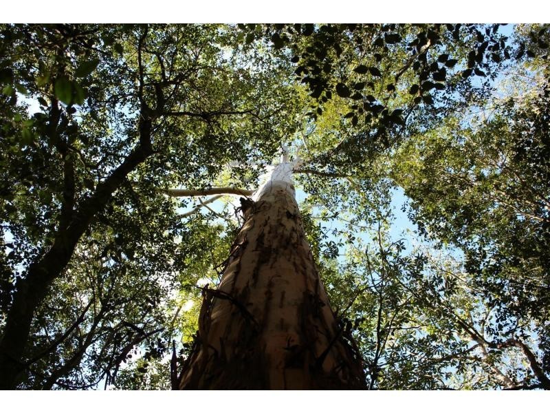 Gloucester NSW 2422