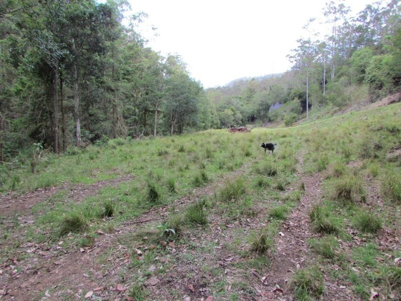 Gloucester NSW 2422