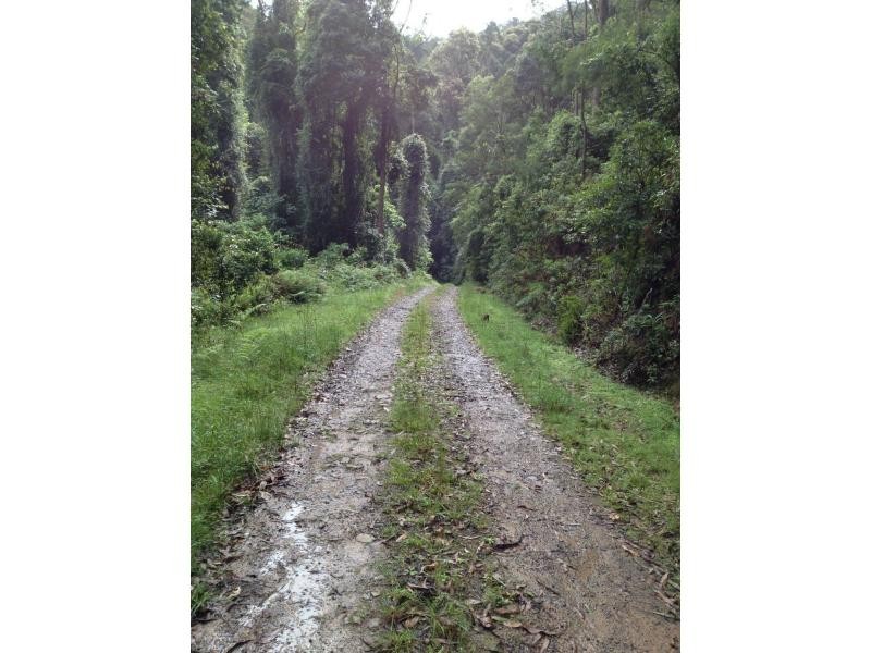 L81&82 Baxters Ridge Road, Gloucester NSW 2422