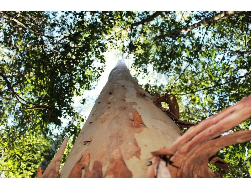 L81&82 Baxters Ridge Road, Gloucester NSW 2422