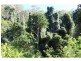 Gloucester NSW 2422
