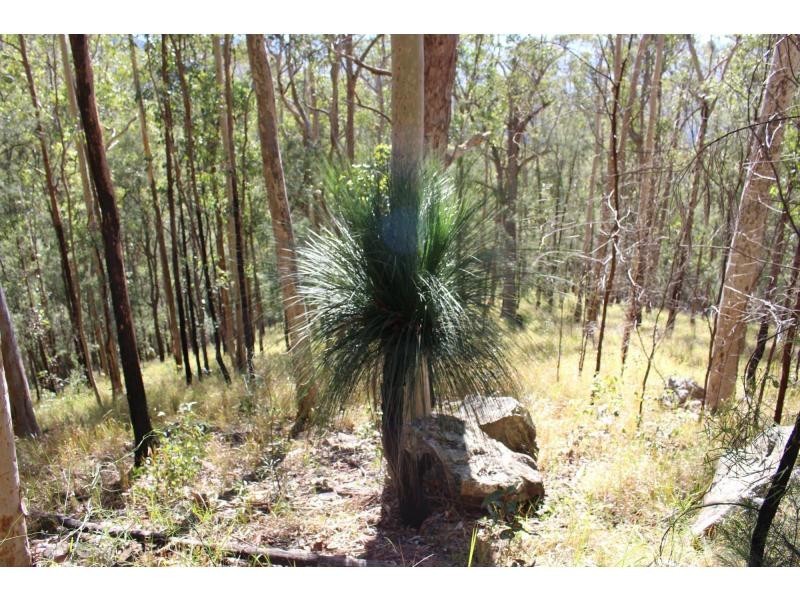 Gloucester NSW 2422