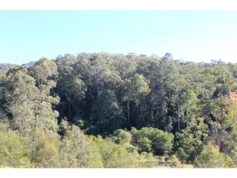Gloucester NSW 2422