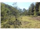 Gloucester NSW 2422