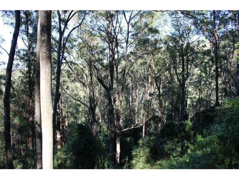 Gloucester NSW 2422