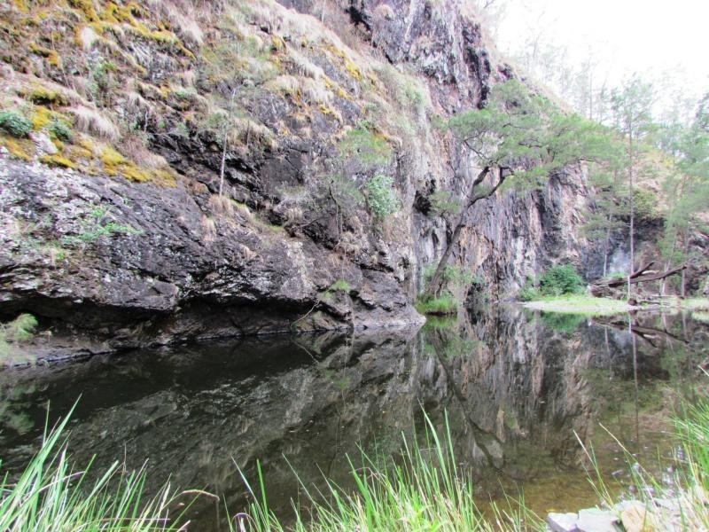 Curricabark NSW 2422