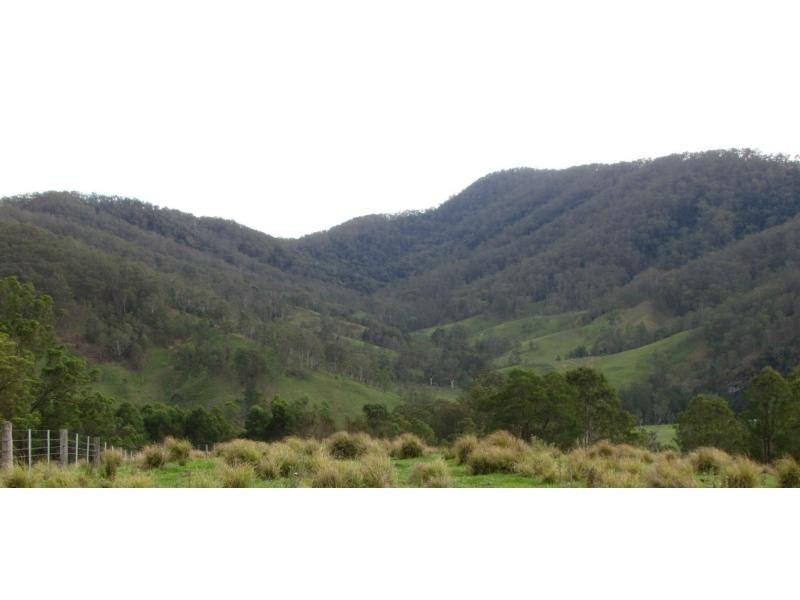 Curricabark NSW 2422