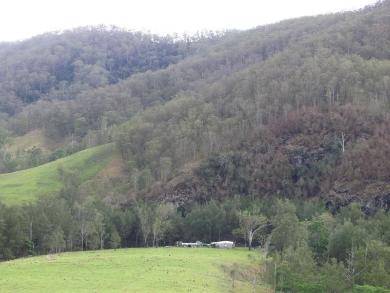 Curricabark NSW 2422