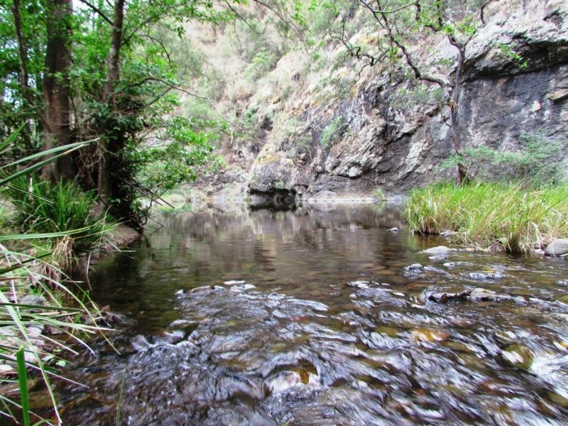 Curricabark NSW 2422