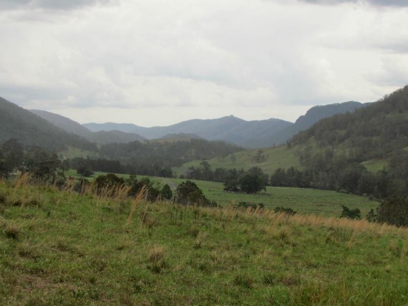 Curricabark NSW 2422