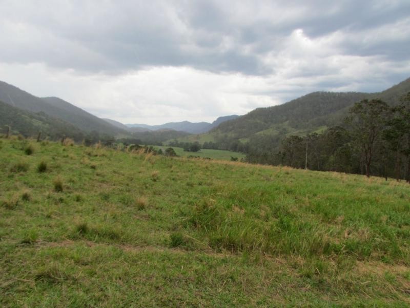 Curricabark NSW 2422