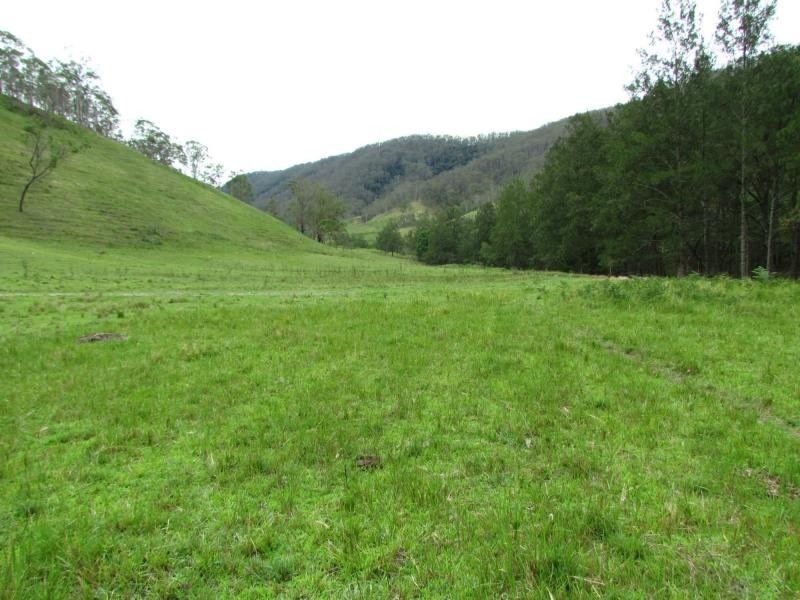 Curricabark NSW 2422