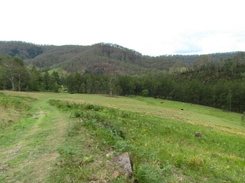 Curricabark NSW 2422