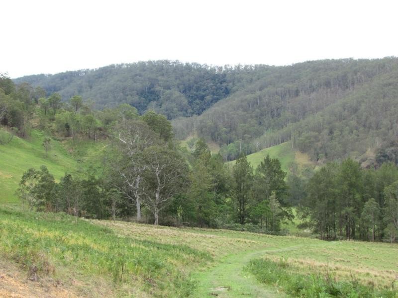 Curricabark NSW 2422