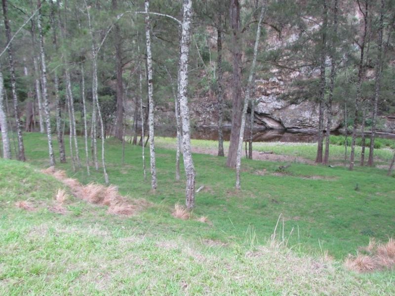 Curricabark NSW 2422