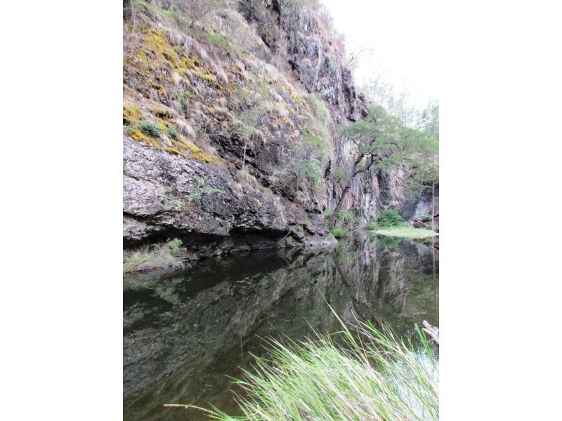 Curricabark NSW 2422